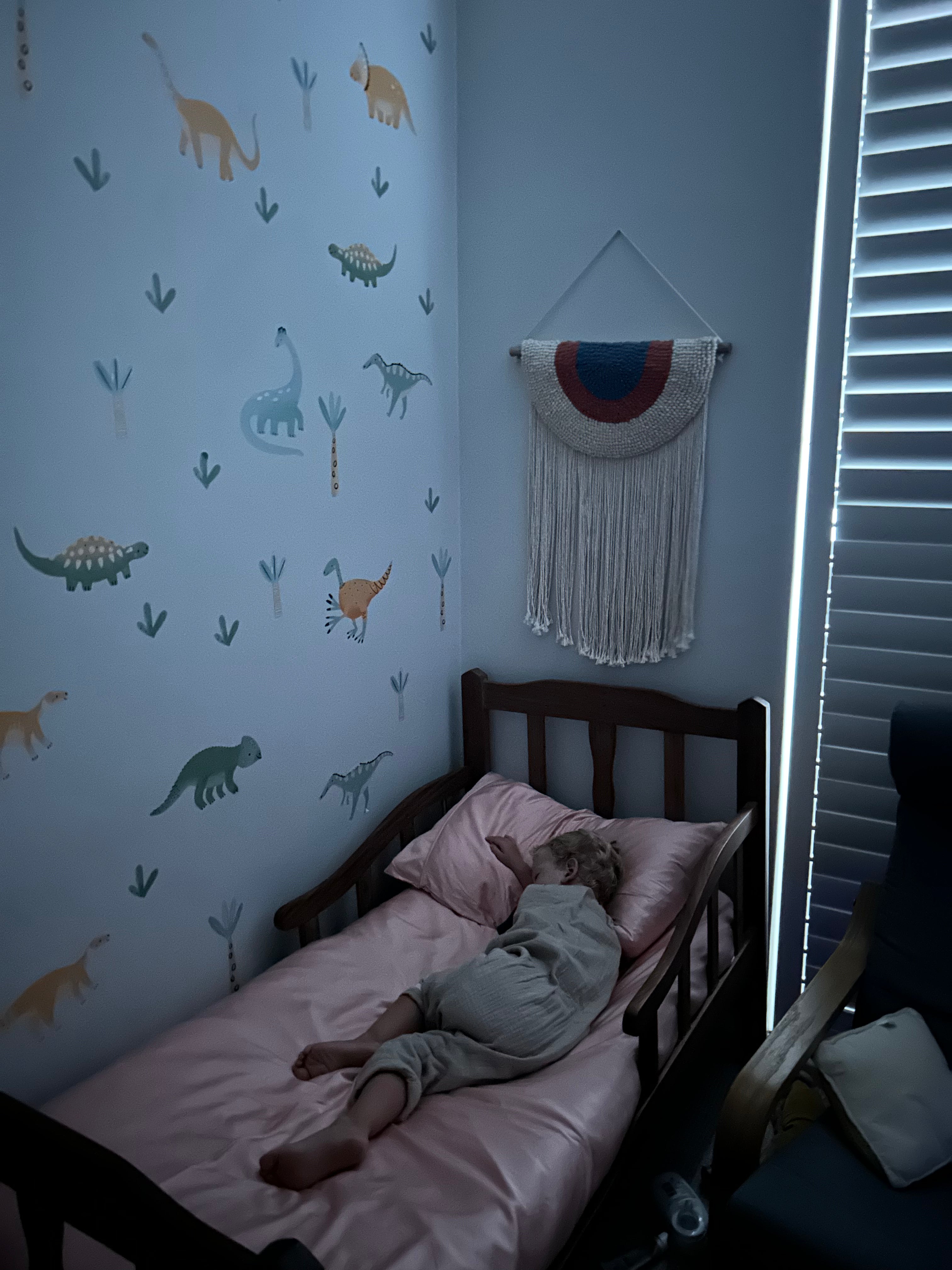 Bedding sets for kids and toddlers super soft bamboo